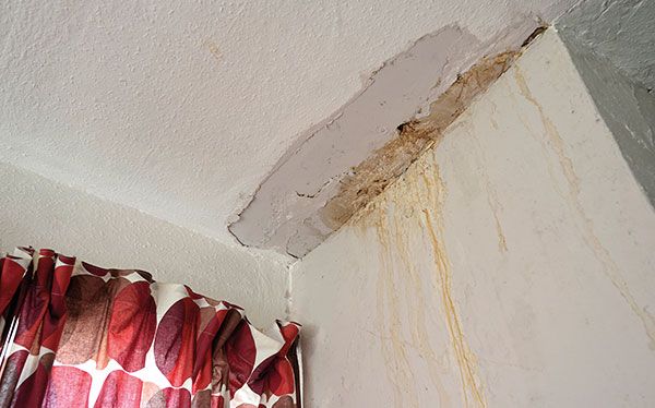 Damp in ceiling