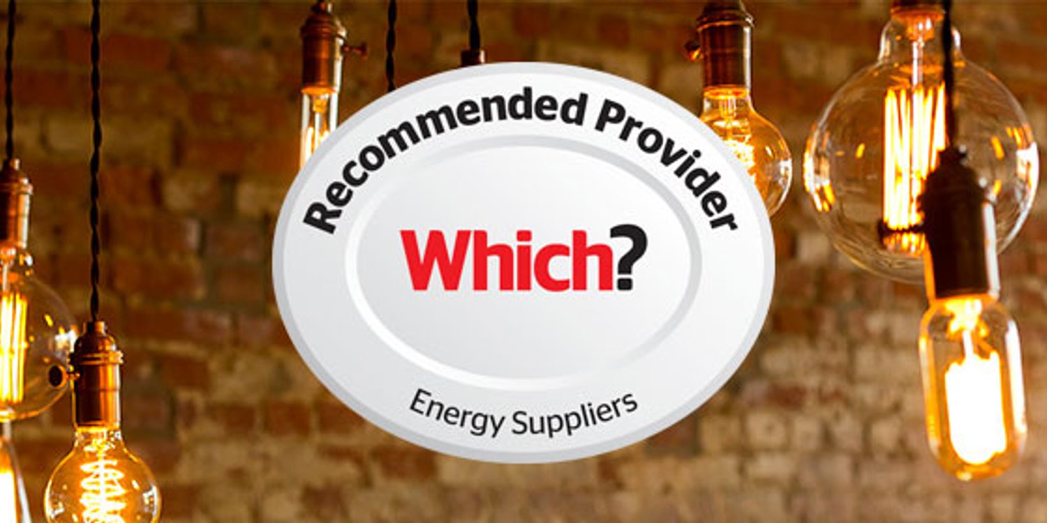 Energy Companies Which? Providers Which?