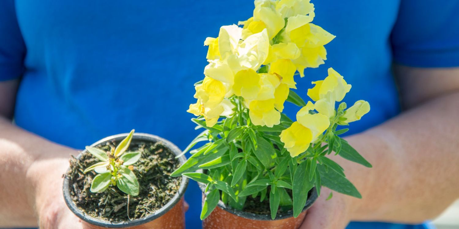 How We Test Compost Which?