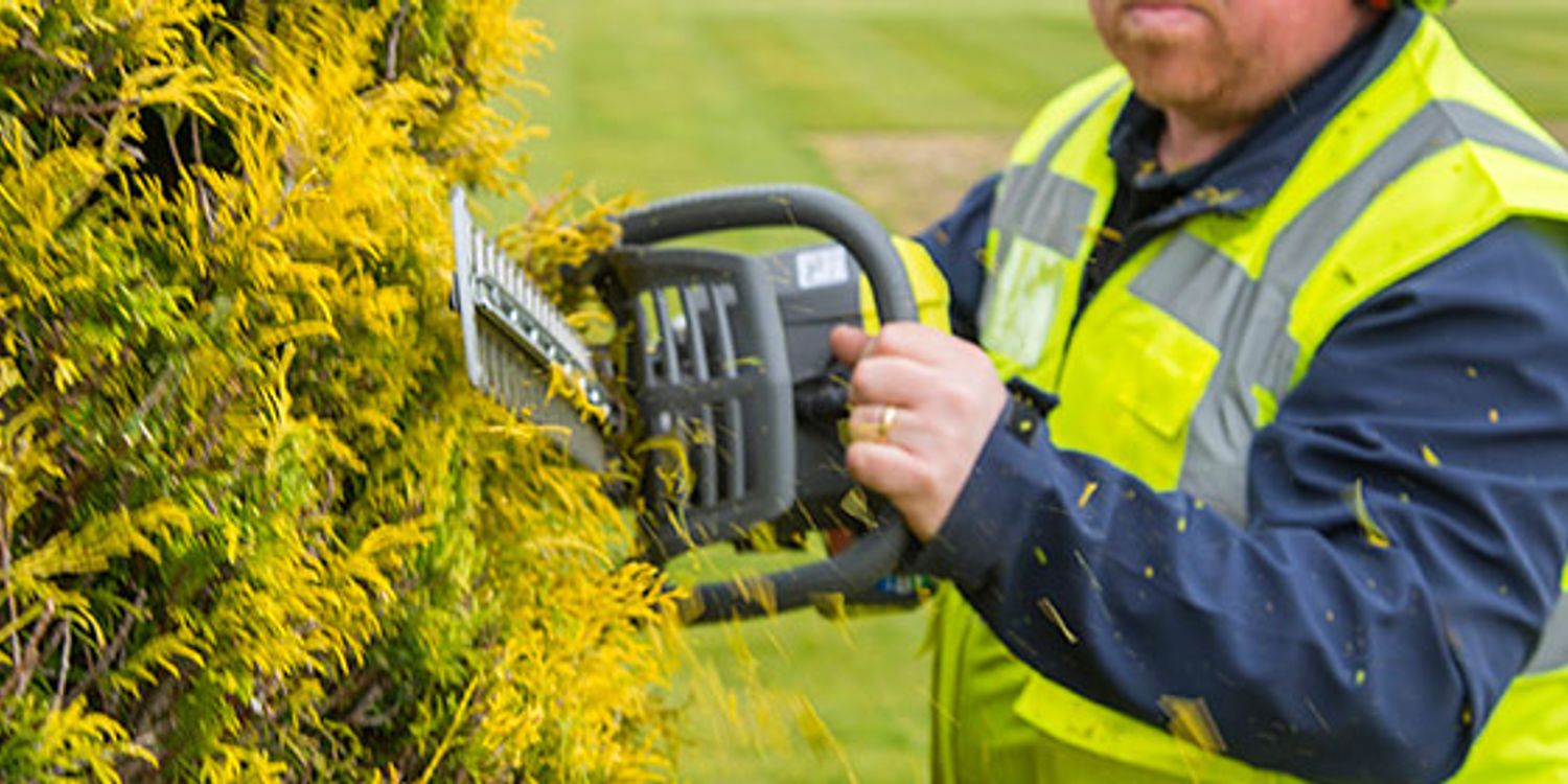 How We Test Hedge Trimmers Which?