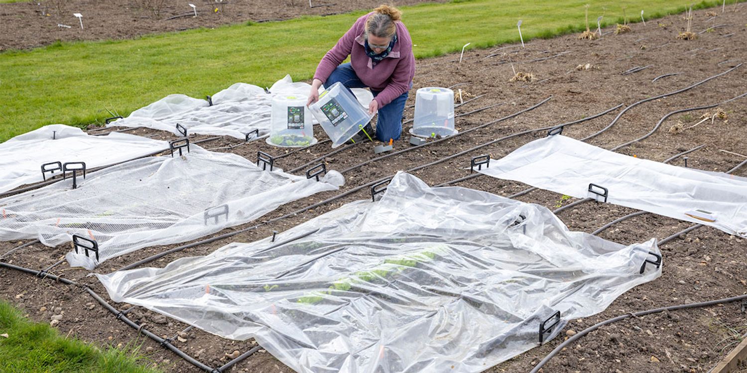 best-frost-protective-covers-which