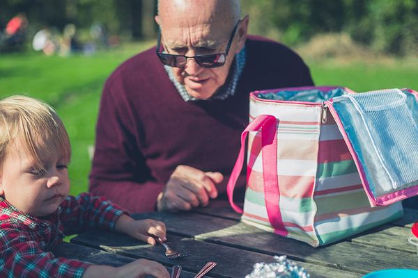 Best cooler bags - Vimarsana News