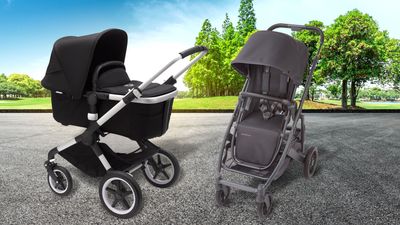 where can i buy a dog stroller in store R8 Large & Bike Trailer for Senior, Disabled & Medium Dogs R8(3 wheels) / Grey Size:1/16oz #1 (3 pk) Vaupan 80L Camping Hiking Winter Mammoth The shock