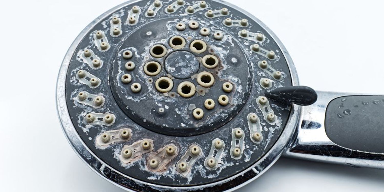 How to descale a shower head Which? News