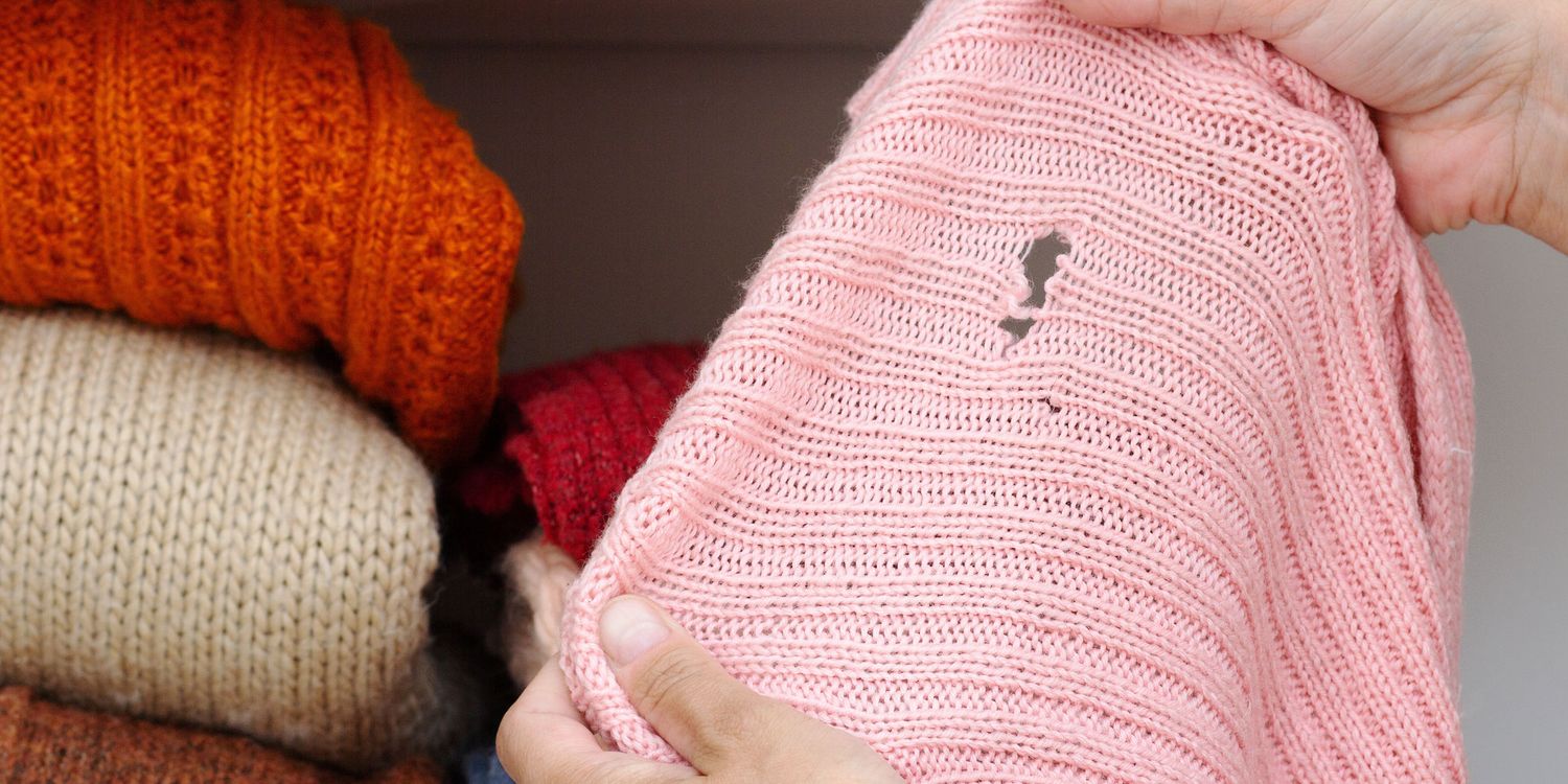 How to get rid of clothes moths