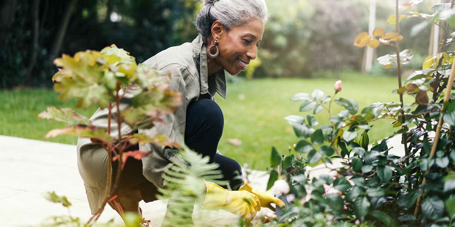 5 ways to make gardening easier - Which? News