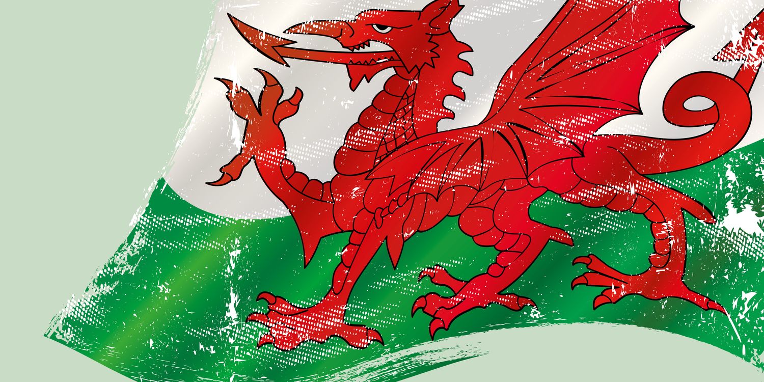 Consumers in Wales - a food briefing - Which? Policy and insight - Vimarsana News