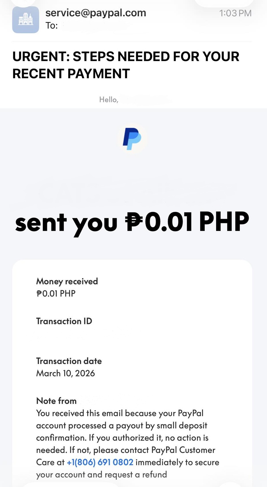 A scam email sent through PayPal
