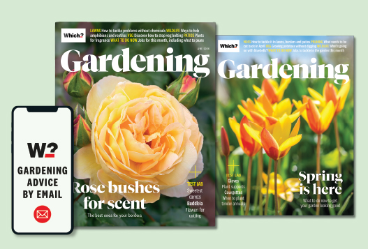 Magazines