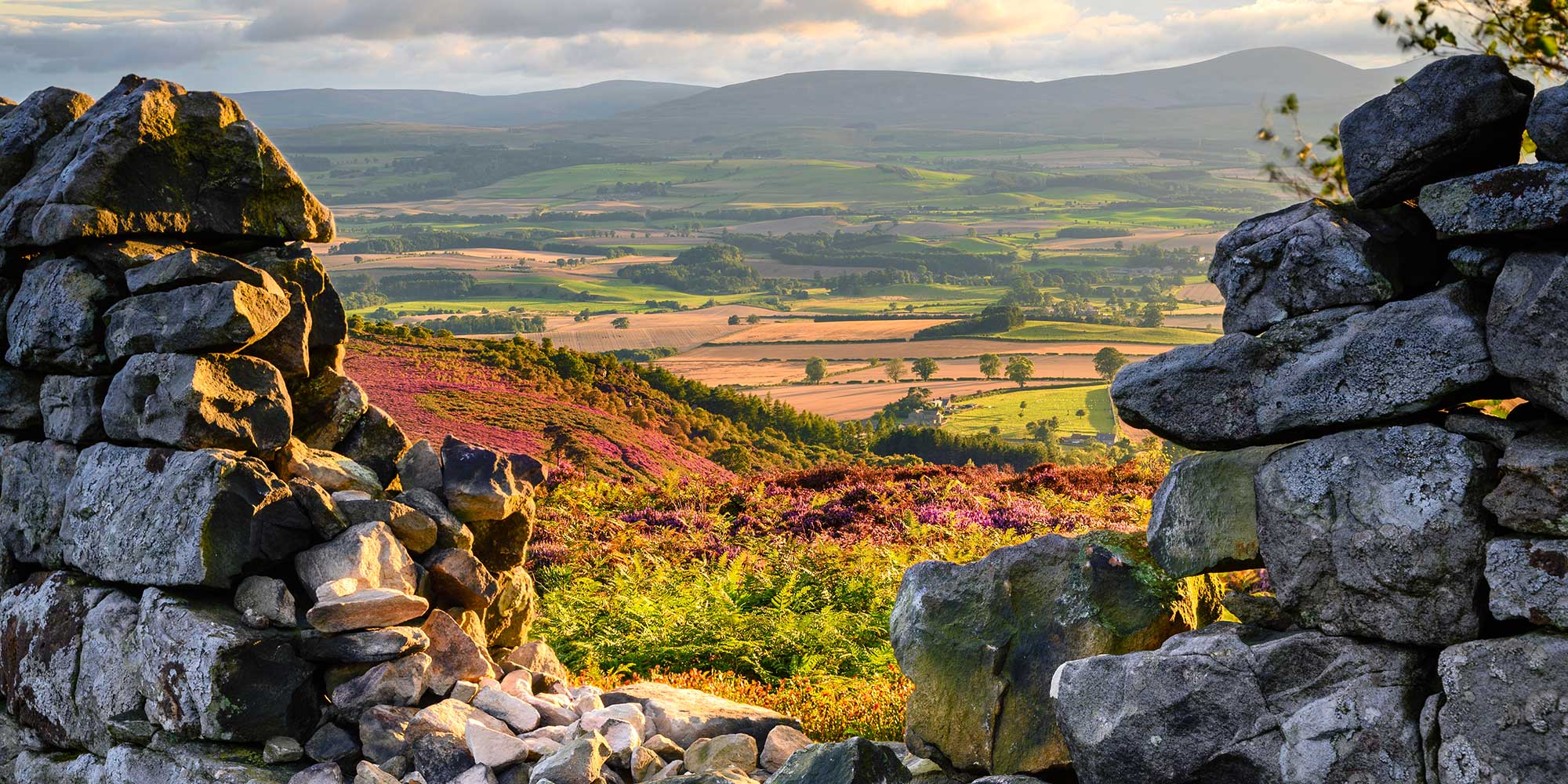 Northumberland view