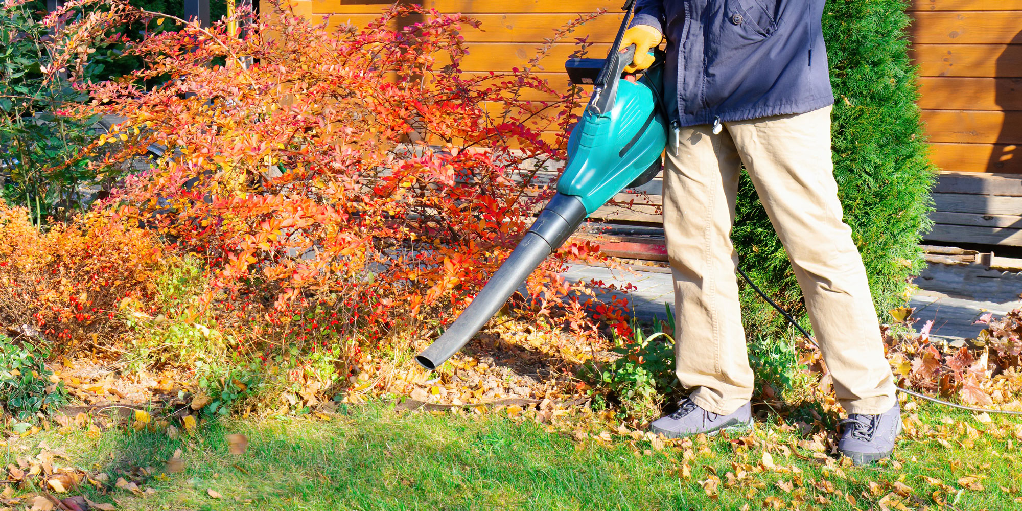 A person using a leaf blower to remove fallen autumn leaves from their garden