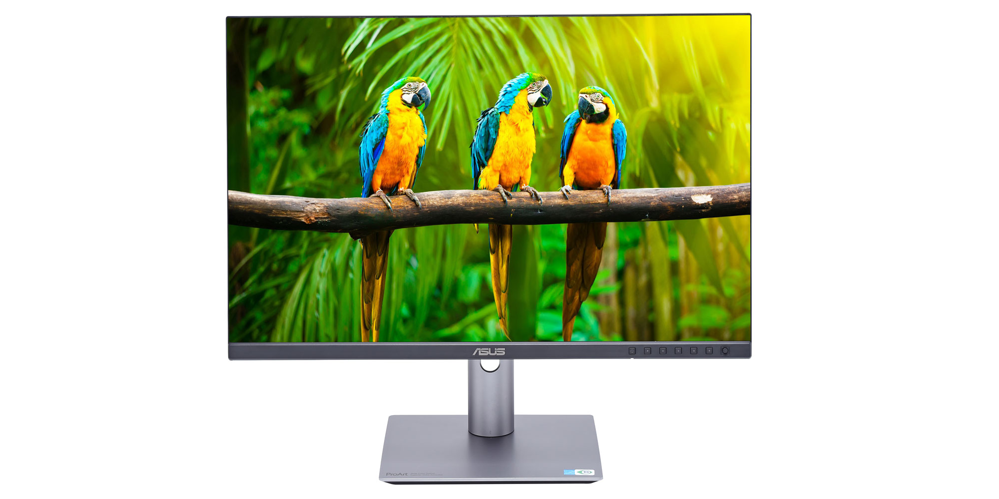Asus ProArt PA248CRV computer monitor