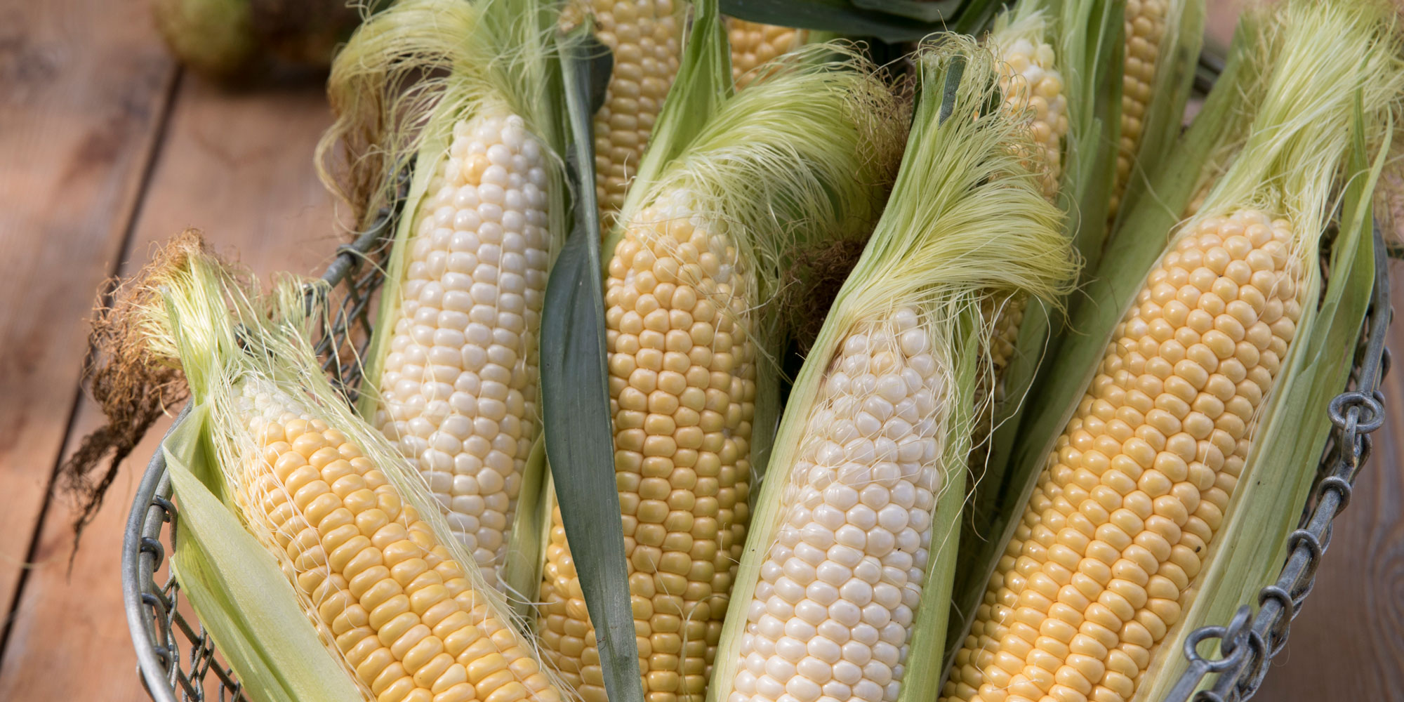 Sweetcorn from our trial