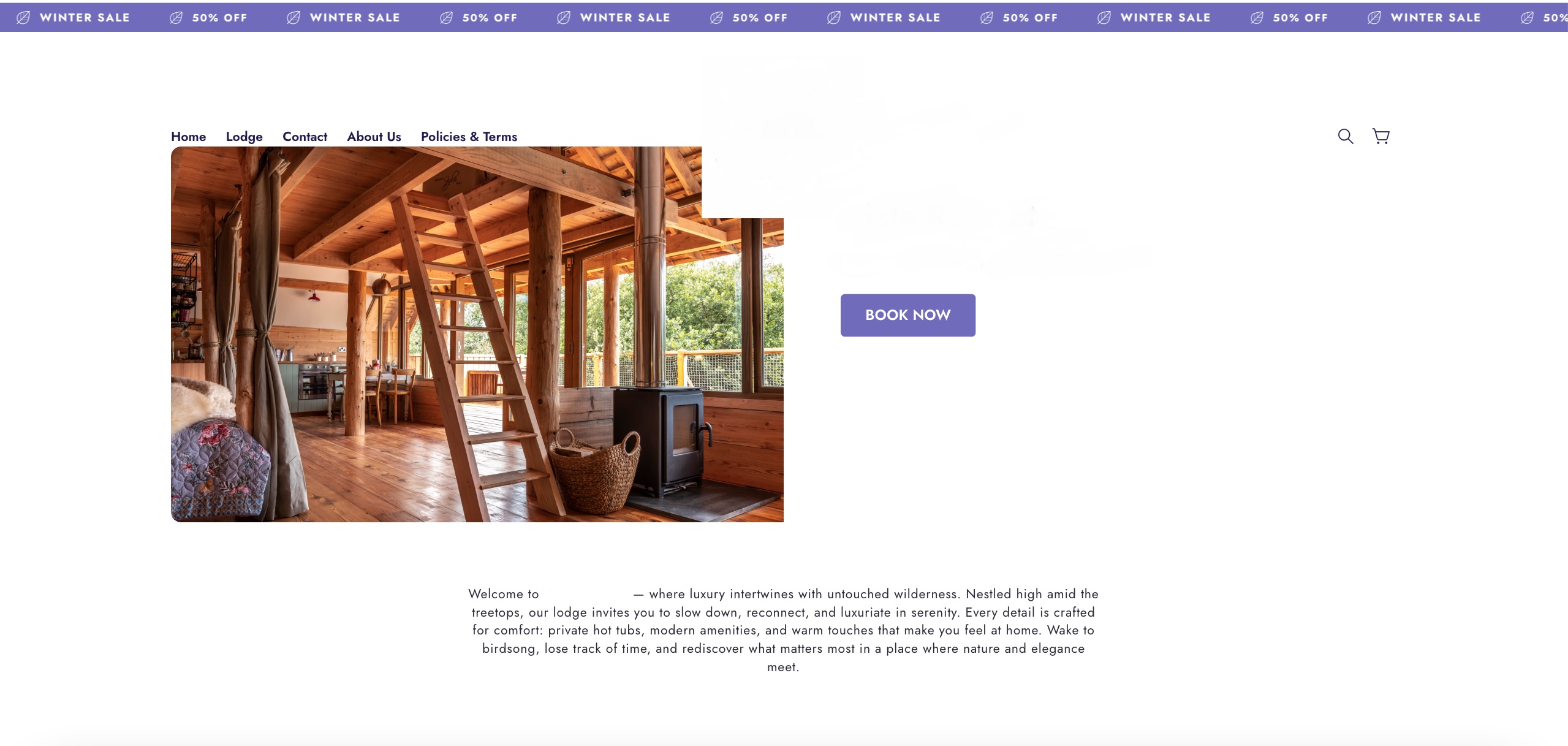 A scam website using stolen images to sell a non-existent holiday