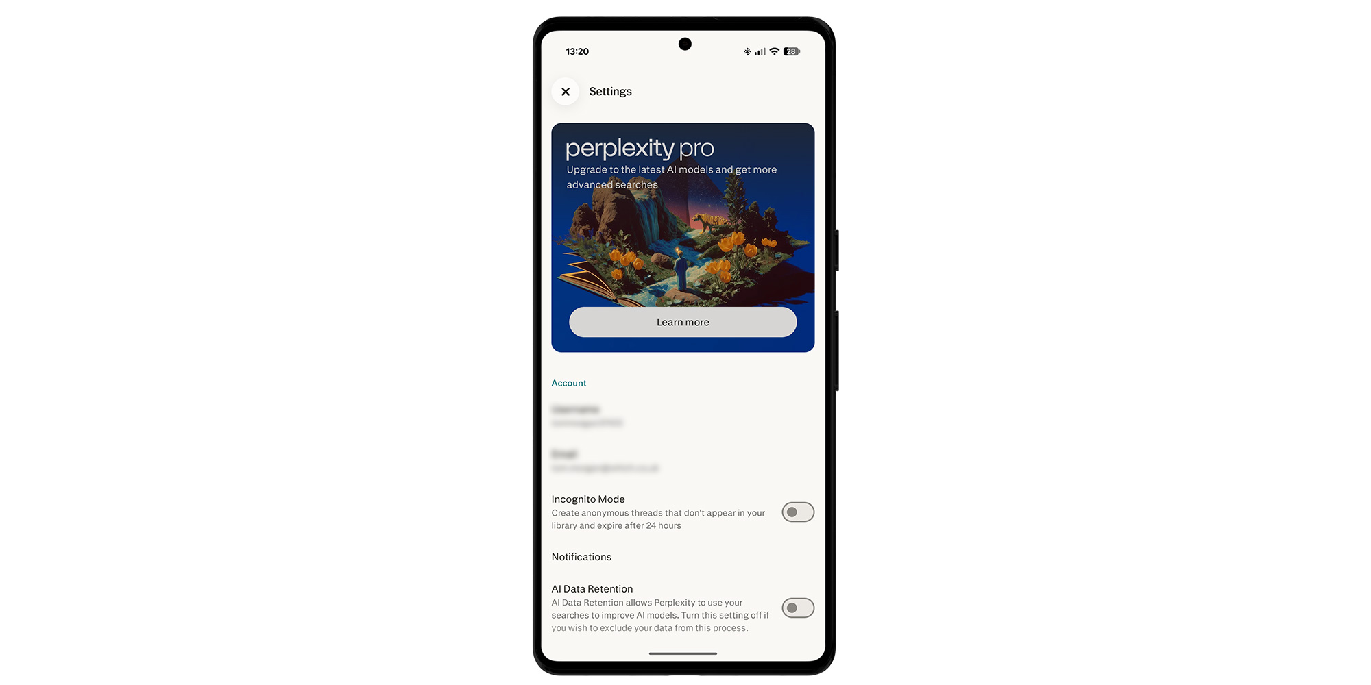 Perplexity mobile settings