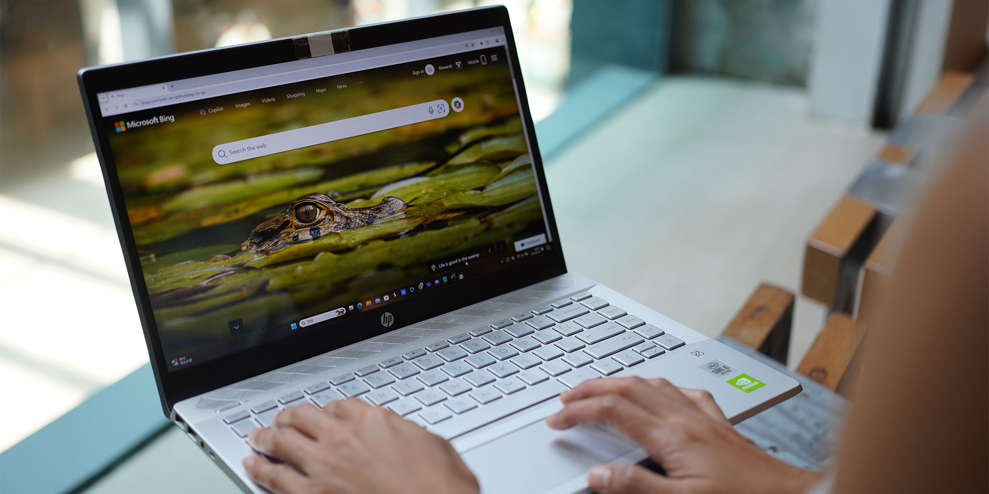 franetic-digital-marketing Microsoft Bing search engine