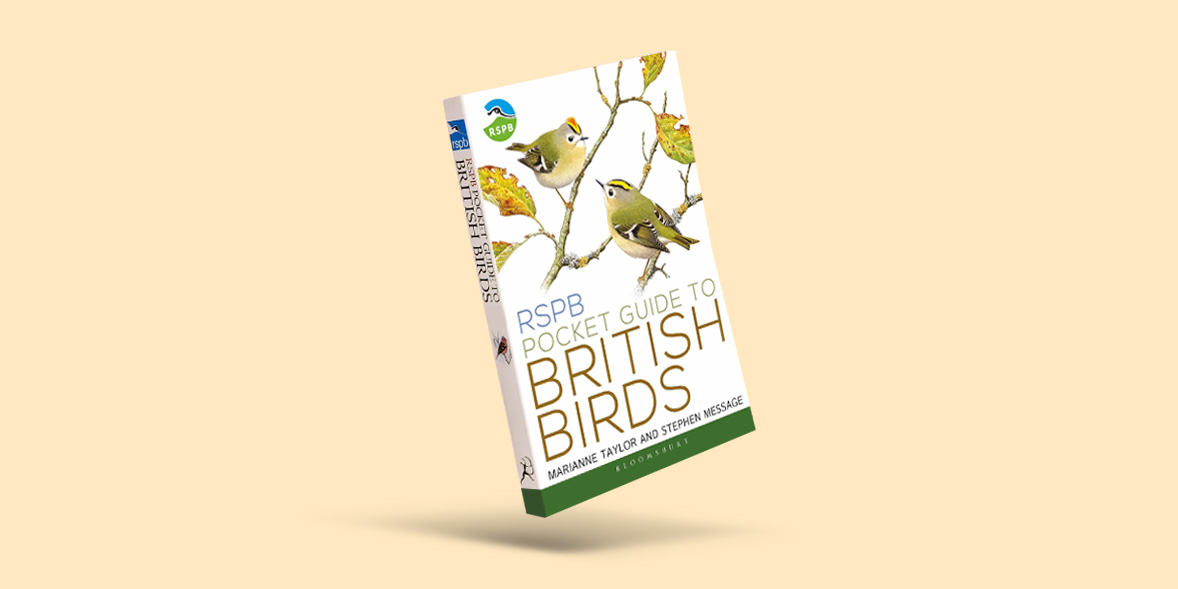 bird book