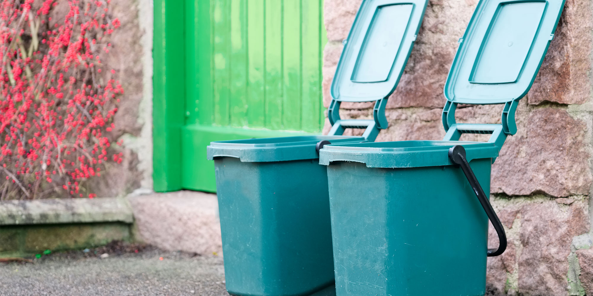 Kerbside food waste bins for collection