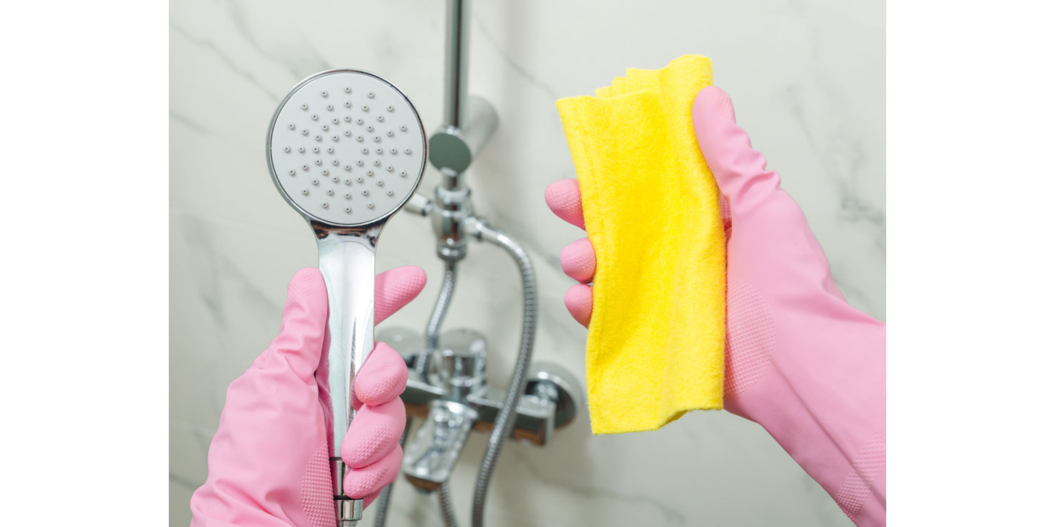 How to descale a shower head