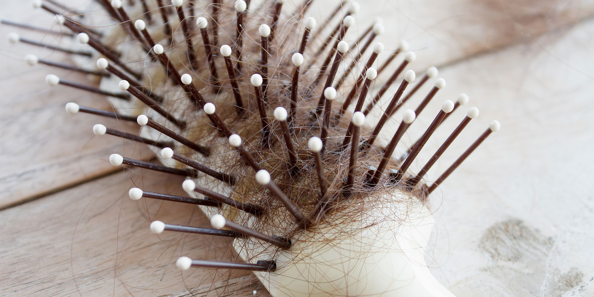 Hairbrush with shedding hair