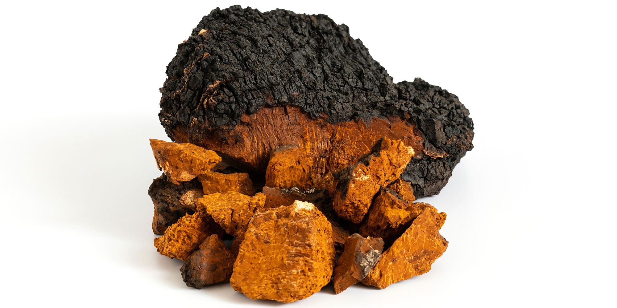 Chaga mushrooms
