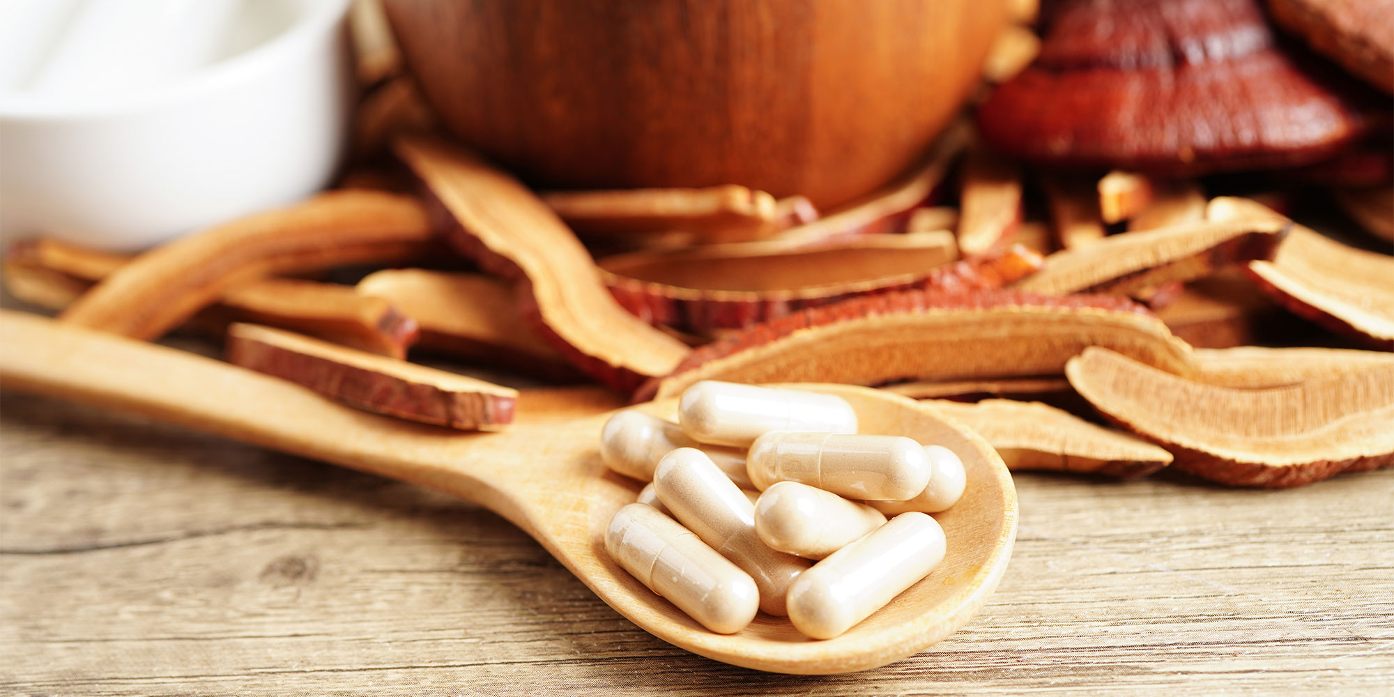 Mushrooms and an extract made from mushrooms