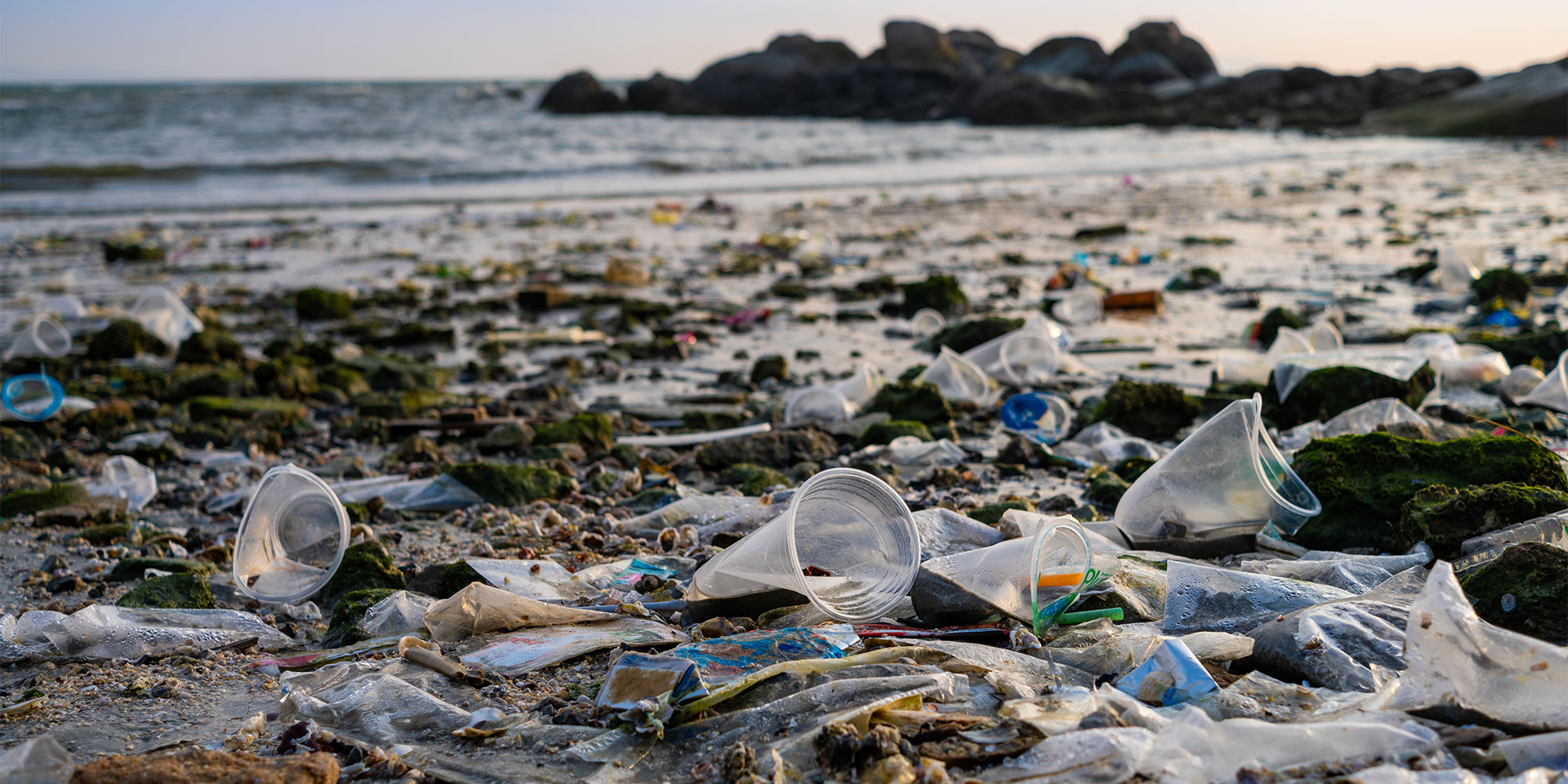 plastic litter on beach