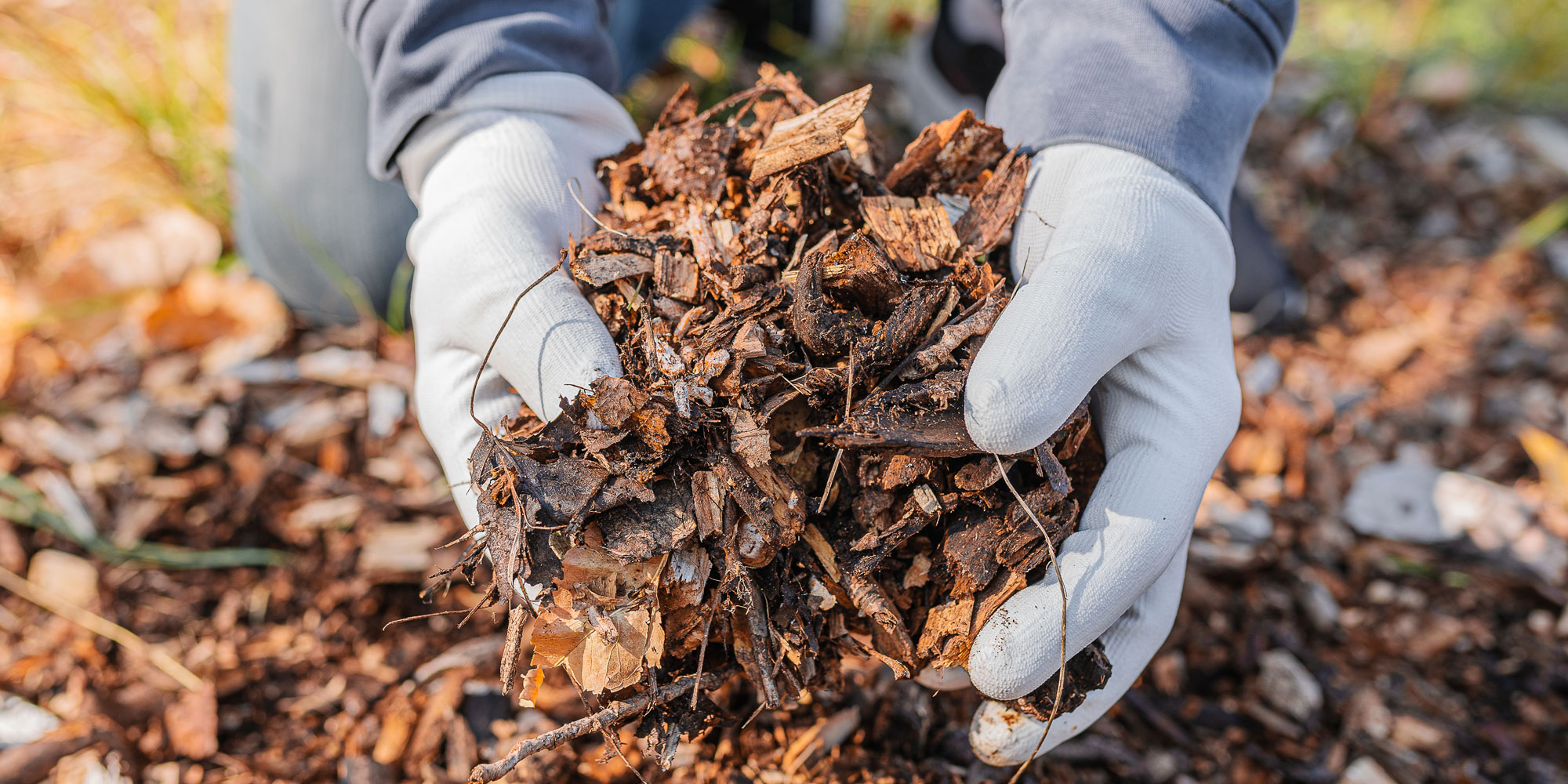 A person wearing gardening gloves as they pick up autumn garden debris 
