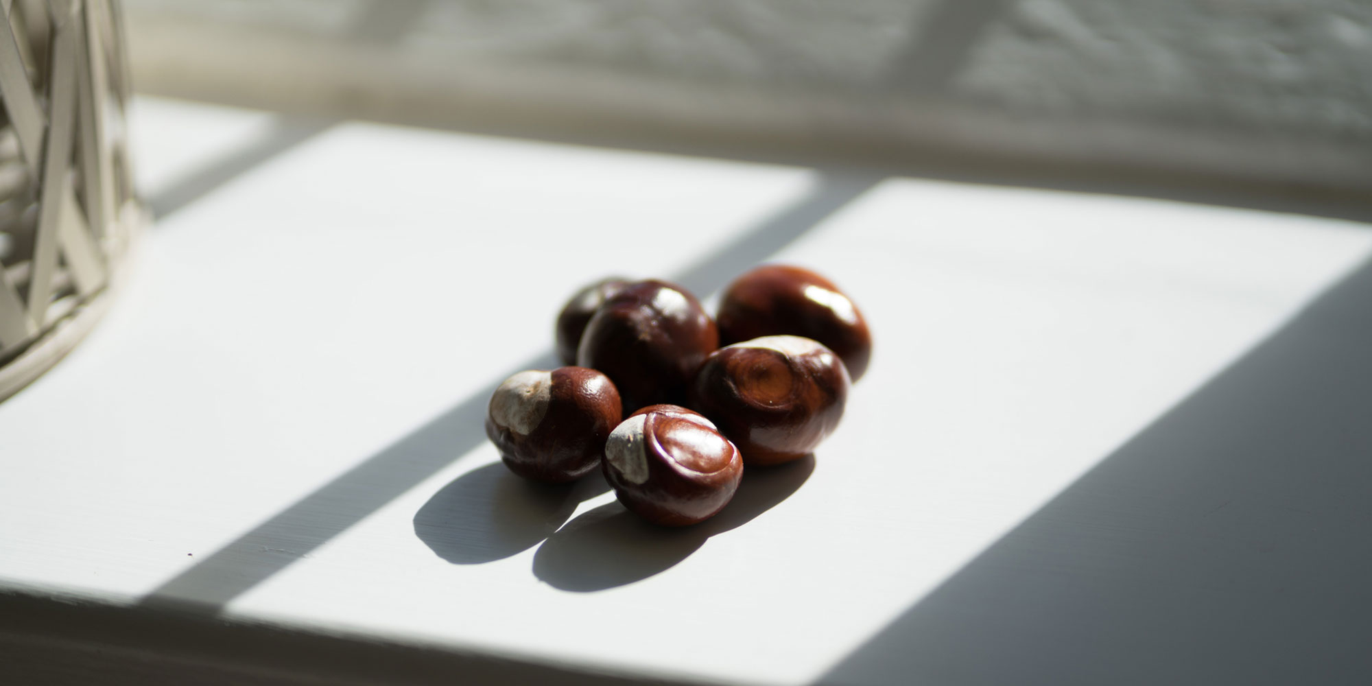Conkers on a window sil