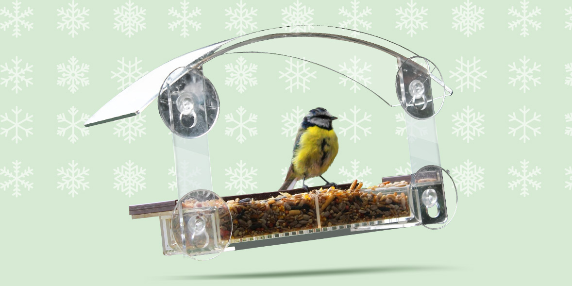Bird window feeder