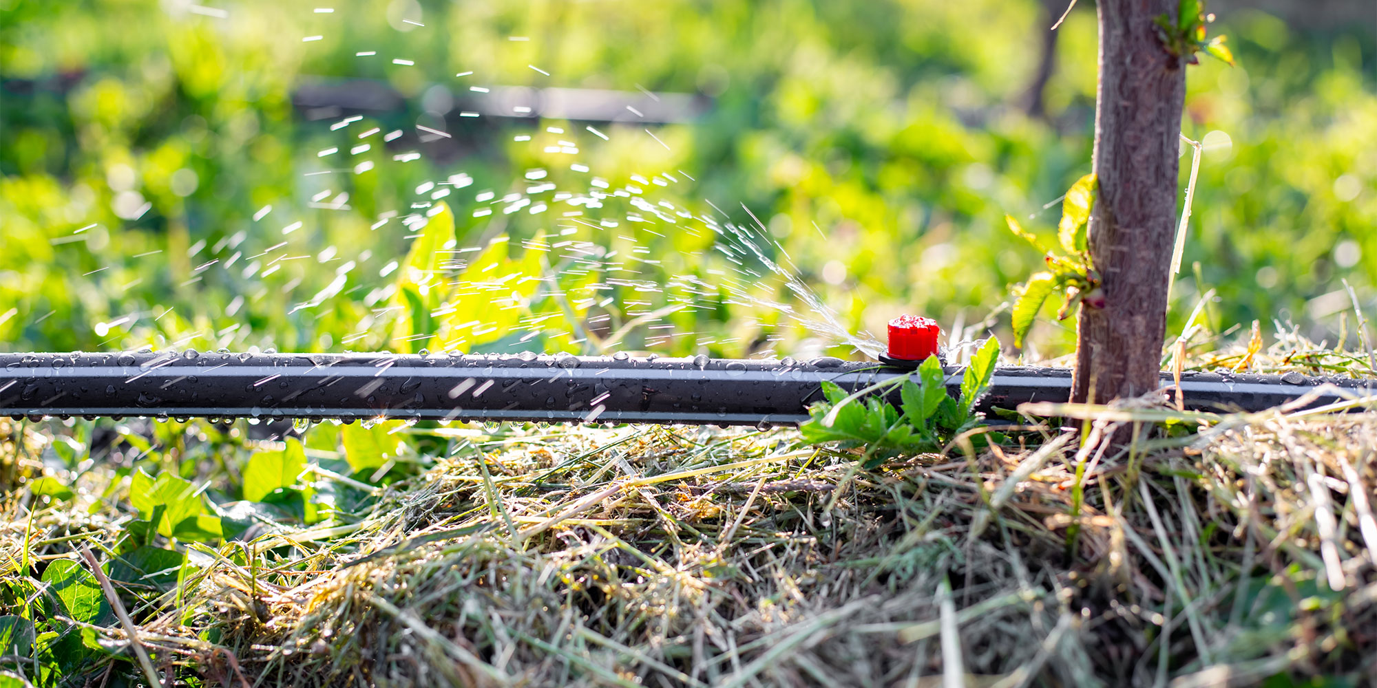 Irrigation system