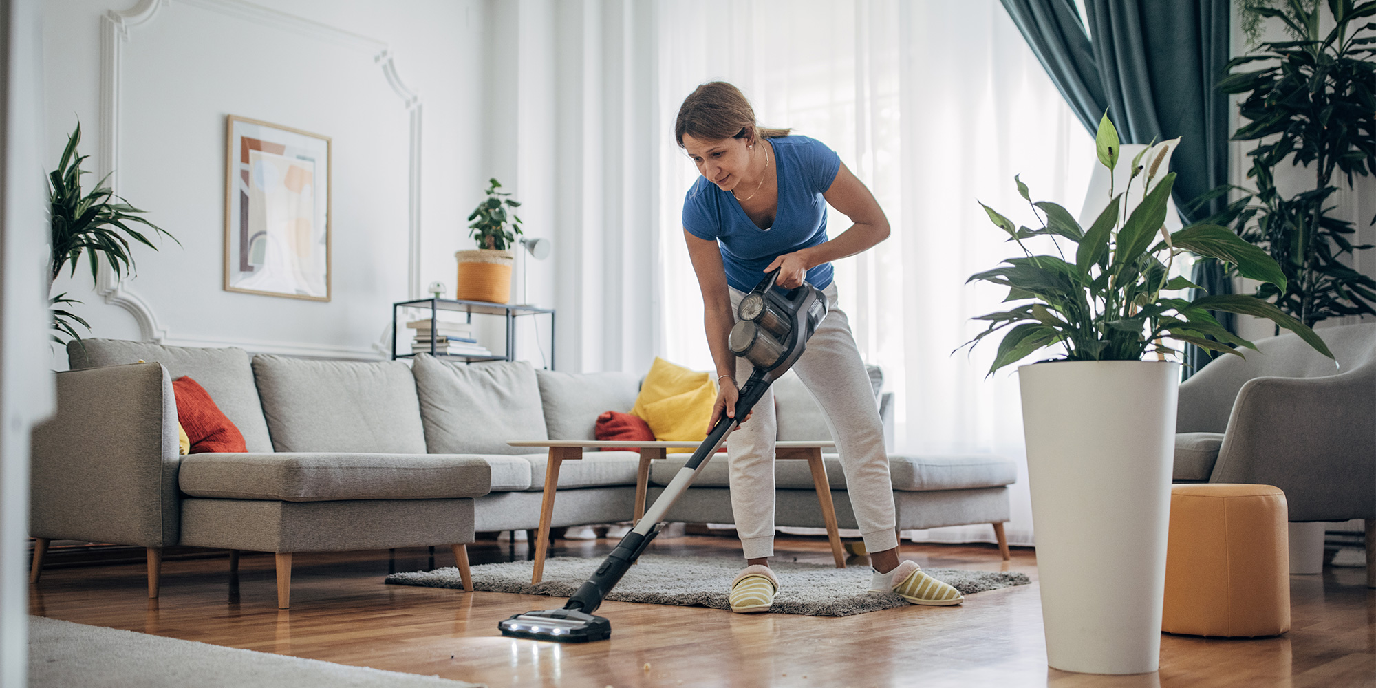 Cordless vac