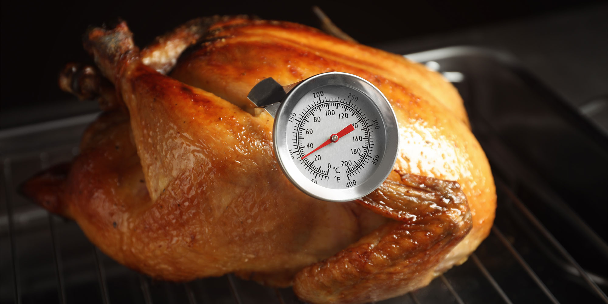 Turkey thermometer