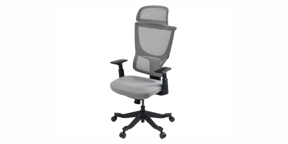 Flexispot Flexi chair BS8