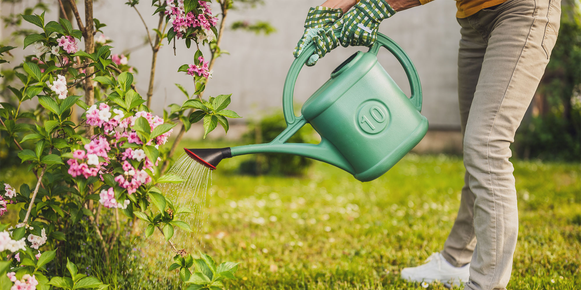 Watering in the garden