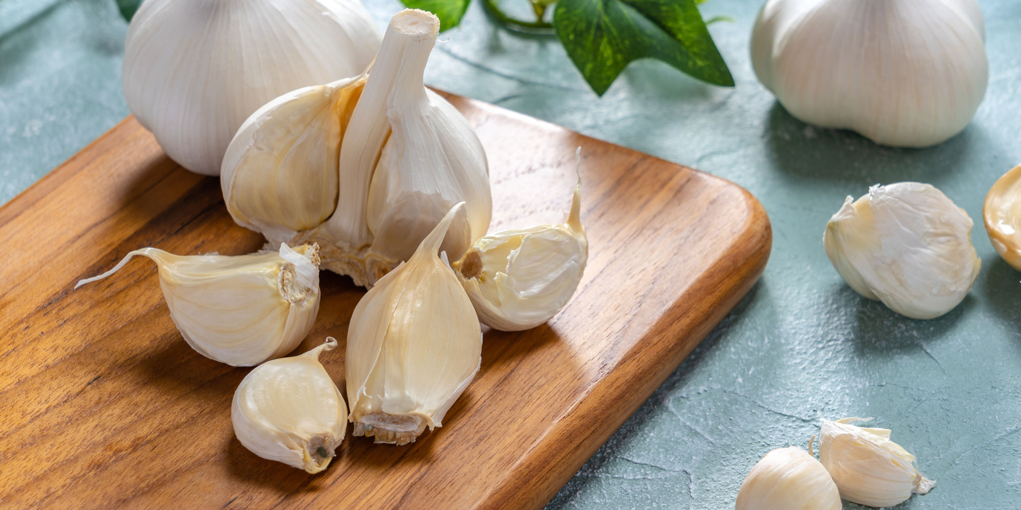 Garlic clove