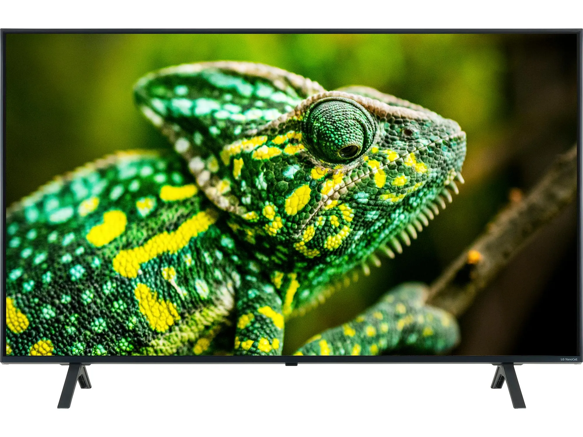Black TV with two pronged feet at either end of the screen as a base. The TV is displaying a green and yellow chameleon on a branch.