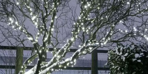 Powerbee Endurance Solar String Lights 200 White