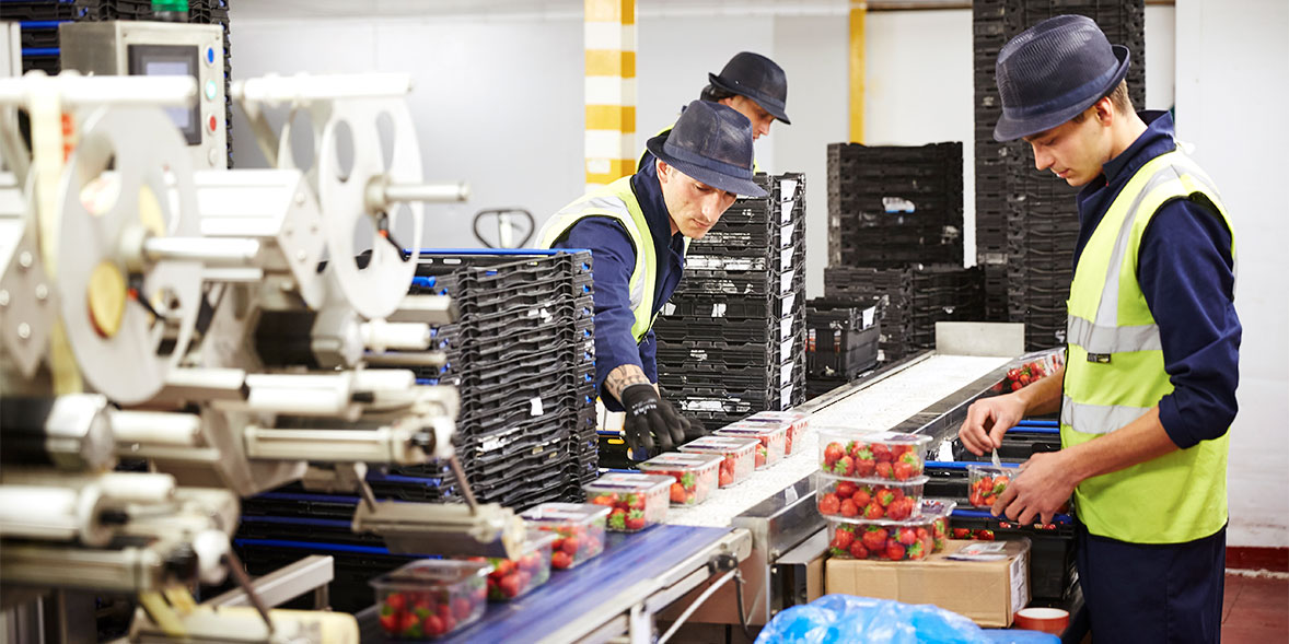 Employees working with food