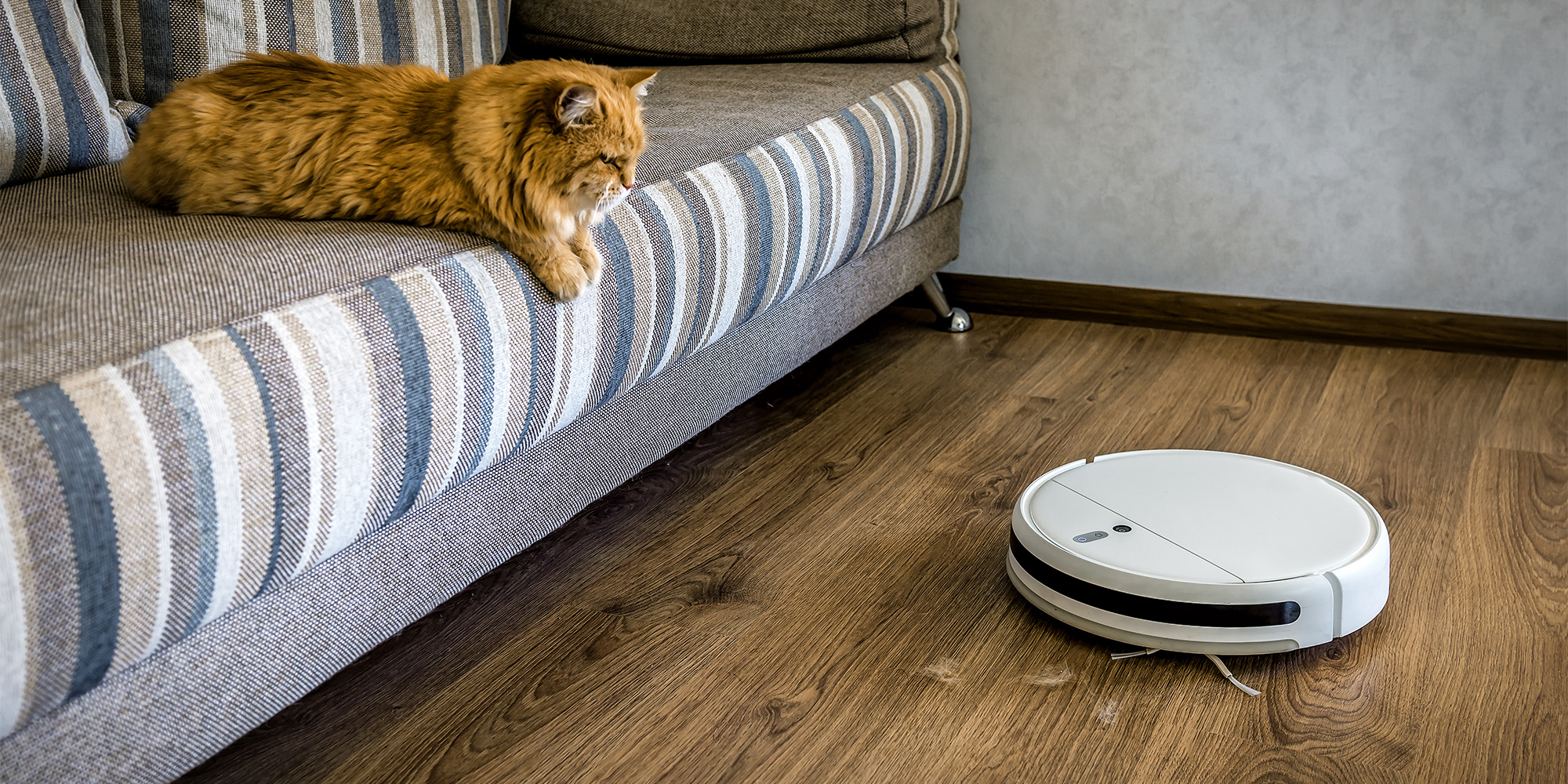Robot vac picking up pet hair