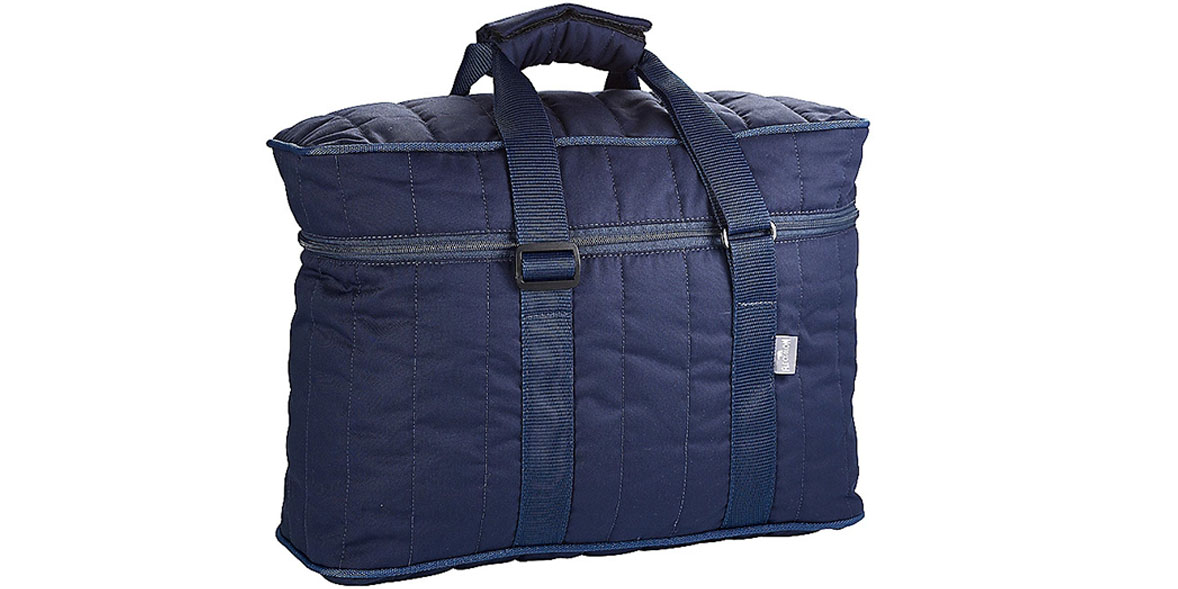 Best Cooler Bags 2023 for summer picnics and cooling drinks Which?