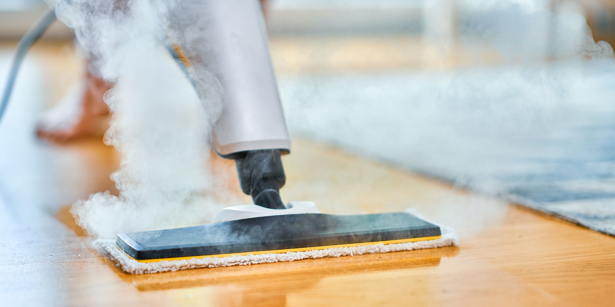 Steam cleaner