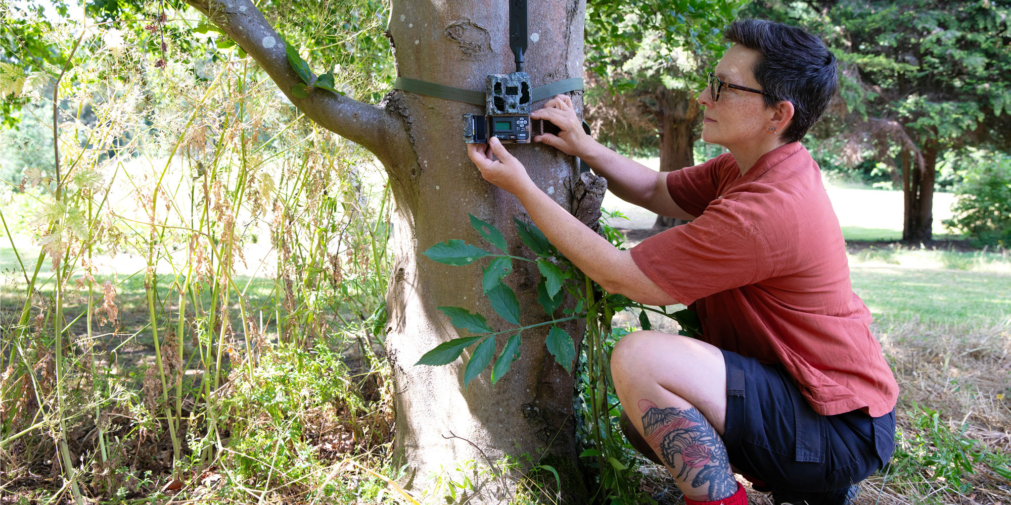 Setting up a wildlife camera