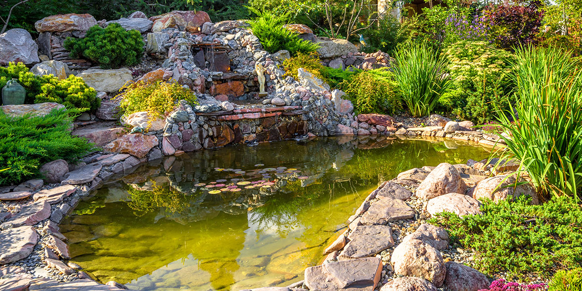 How to buy or build the best garden pond Which?