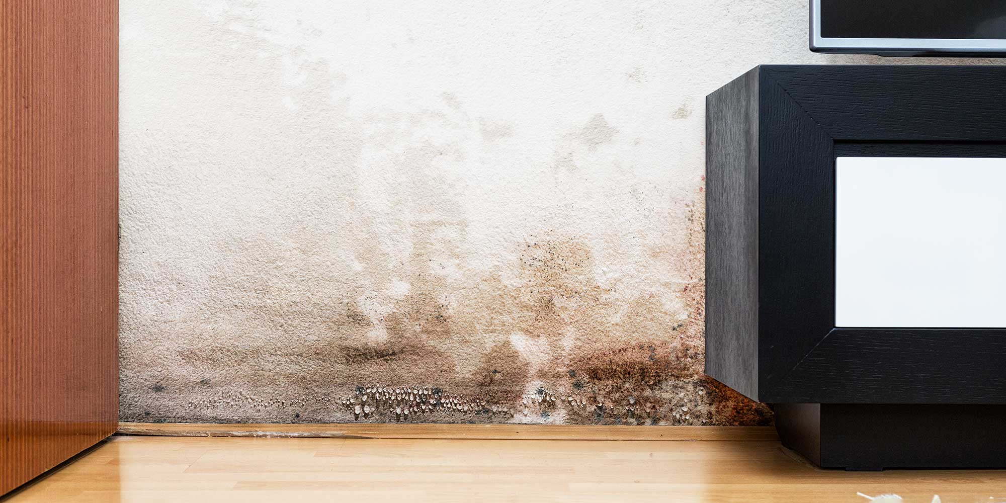 damp damage on a wall