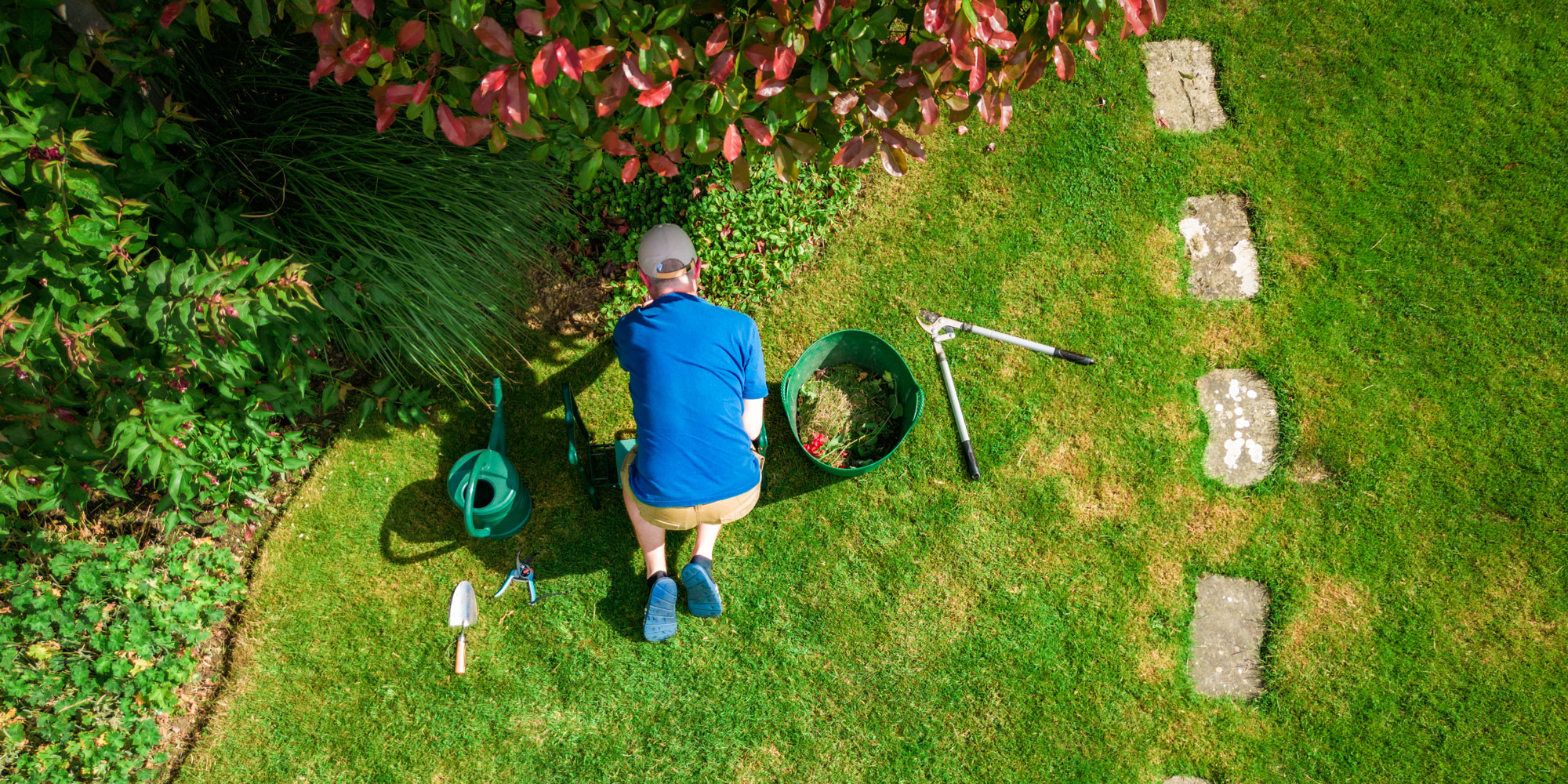 Weeding in the garden