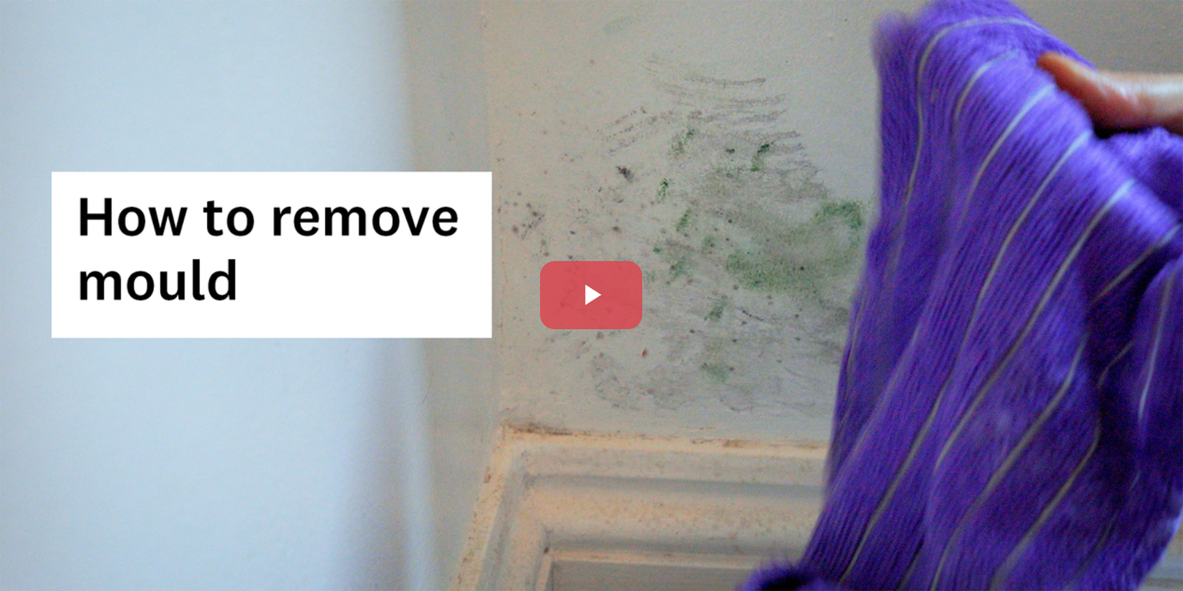 mould on a wall with a cloth about to wipe it away