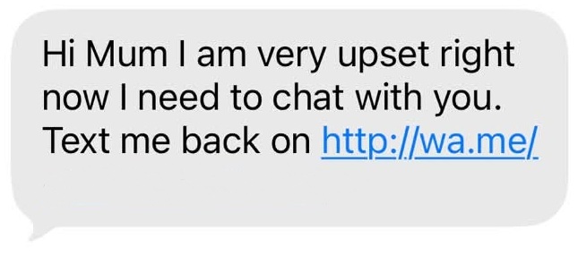A 'Hi mum' scam text