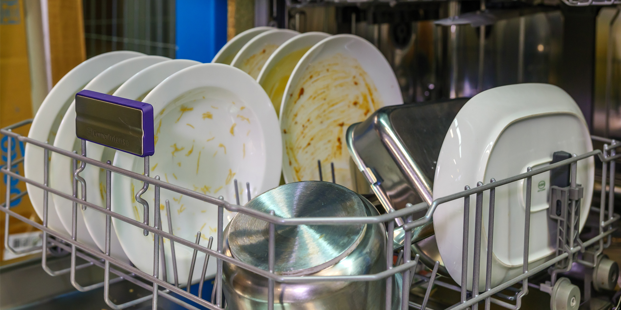 Dishwasher bottom rack loaded