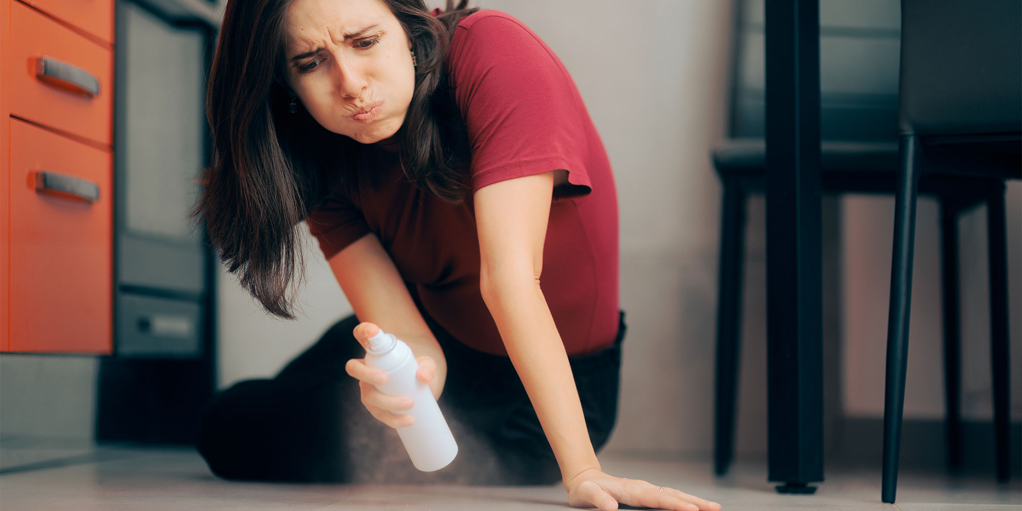 Spider repellent spray